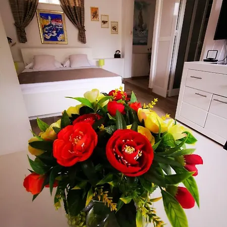 Marin دوبروفينك